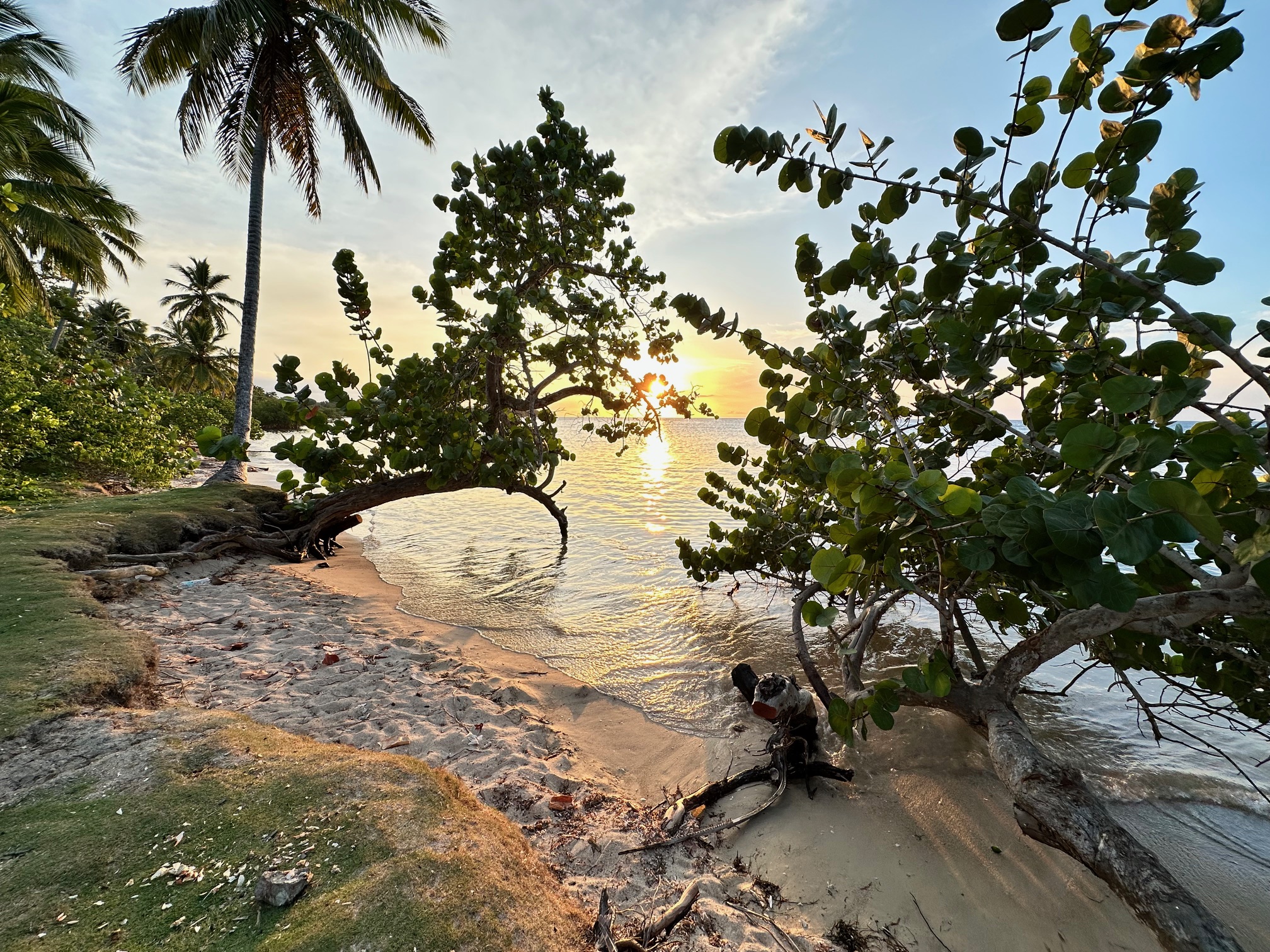 Premium ATV and four wheeler rentals available in Samaná Peninsula for exploring beaches and trails
