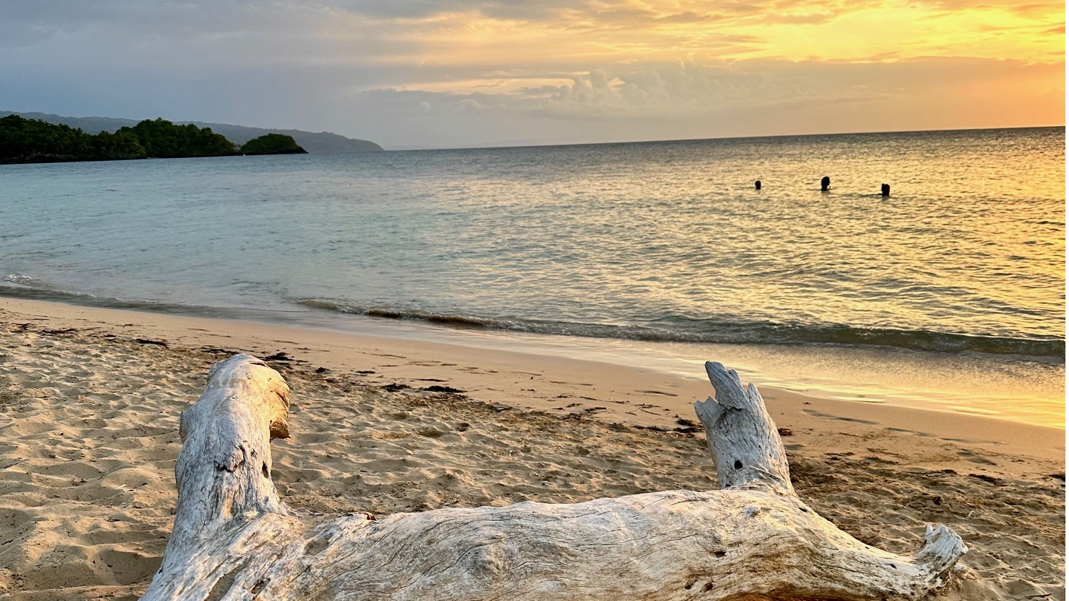 Beautiful sunset over Samaná Beach with palm trees and ocean waves in Las Terrenas, Dominican Republic